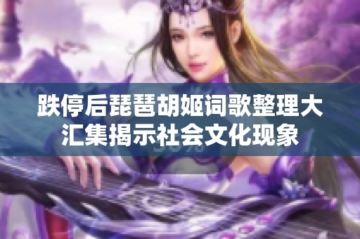 跌停后琵琶胡姬詞歌整理大匯集揭示社會(huì)文化現(xiàn)象